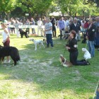 APPUNTAMENTI – Apre i battenti l’Esposizione Internazionale Canina a Prato Giardino