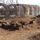 VISITE – Ferento, ingresso gratuito all’area archeologica