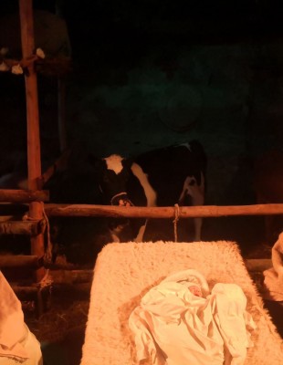 PRESEPE VIVENTE Bassano in Teverina 26-12-2019