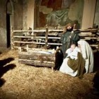 MOSTRE – Presepi in mostra nelle chiese di Tarquinia