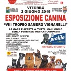 EN PLEIN AIR – Al Bullicame torna l’esposizione canina del Trofeo Sandro Vignanelli