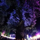 FESTIVAL – Eco Sound Fest, a tutta musica tra cultura e natura