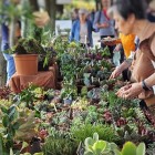 EN PLEIN AIR – Verdi e Contenti, due giorni all’insegna di green, fiori ed artigianato