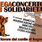 MUSICA – “Suono da Cani”, concerto di solidarietà per il canile di Bagnaia