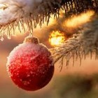 SPETTACOLI – Riflessioni tragicomiche sul Natale al Centro diurno per le dipendenze