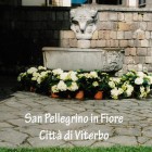 RASSEGNE – Taglio del nastro per San Pellegrino in Fiore