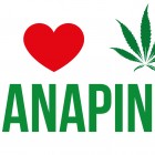 FESTIVAL – La Cannabis sativa protagonista di “I Love Canapina”