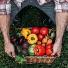 WEBINAR – Incontri tematici di Slow Food: focus sugli agriturismo
