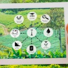 WEBINAR – La transizione digitale dell’agricoltura al centro di un incontro