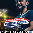 MUSICA – A Bassano in Teverina attesa  per il concerto gratuito di Marco Ligabue